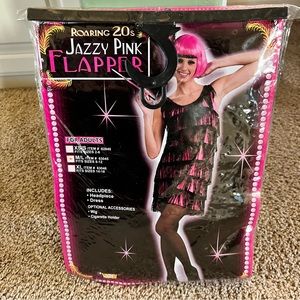 Roaring 20s Jazzy Pink Flapper Dress